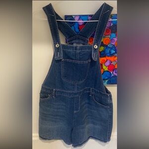 Children’s Place denim shirt overalls
